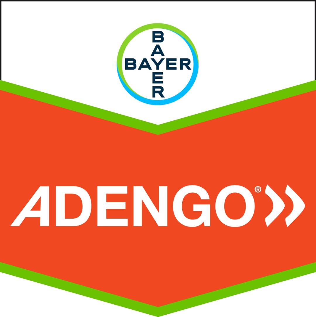 Adengo 1/1 bayer