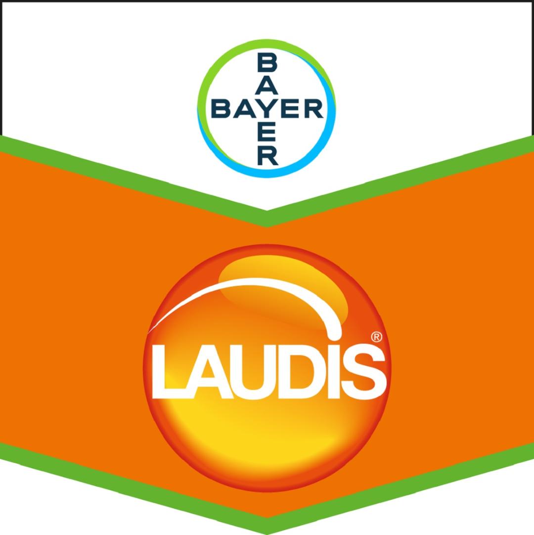 Laudis 1l