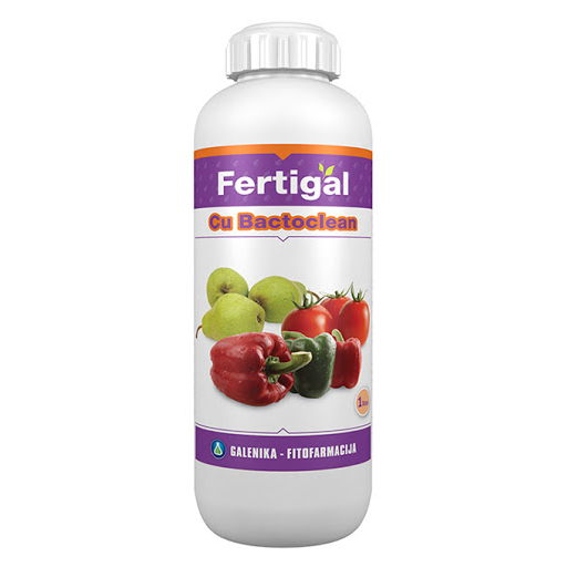 Fertigal cu bactoclean 1 l