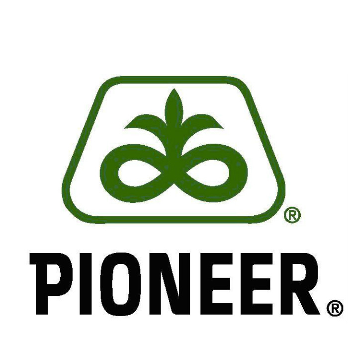 Kukuruz sem pioneer p0865